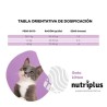 2 KG NUTRIPLUS PIENSO GATOS KITTEN