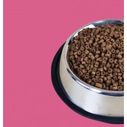 2 KG NUTRIPLUS PIENSO GATOS ADULTO ESTERILIZADO