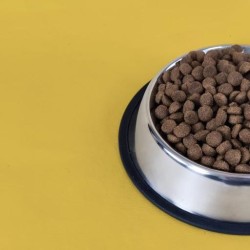 3 KG NUTRIPLUS PERROS ADULTO POLLO