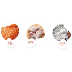 3 KG NUTRIPLUS PERROS ADULTO SALMON