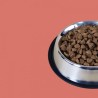 3 KG NUTRIPLUS PERROS ADULTO SALMON