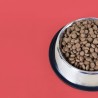 3 KG NUTRIPLUS PERROS ADULTO CORDERO