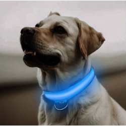 COLLAR DE LUZ LED