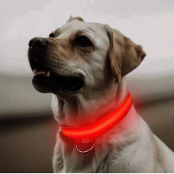 COLLAR DE LUZ LED