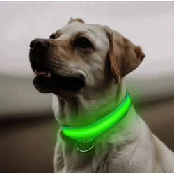 COLLAR DE LUZ LED
