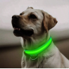 COLLAR DE LUZ LED