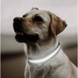 COLLAR DE LUZ LED