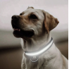 COLLAR DE LUZ LED