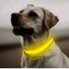 COLLAR DE LUZ LED