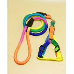 CORREA Y ARNES ARCOIRIS TALLA M