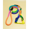 CORREA Y ARNES ARCOIRIS TALLA M