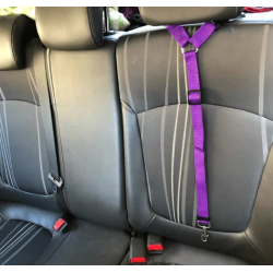 CINTURON SEGURIDAD COCHE CABECERO