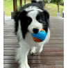 PELOTA MOLAR