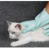 GUANTES ASEO