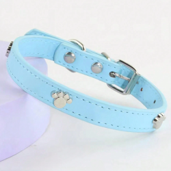 COLLAR