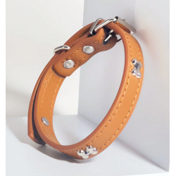 COLLAR