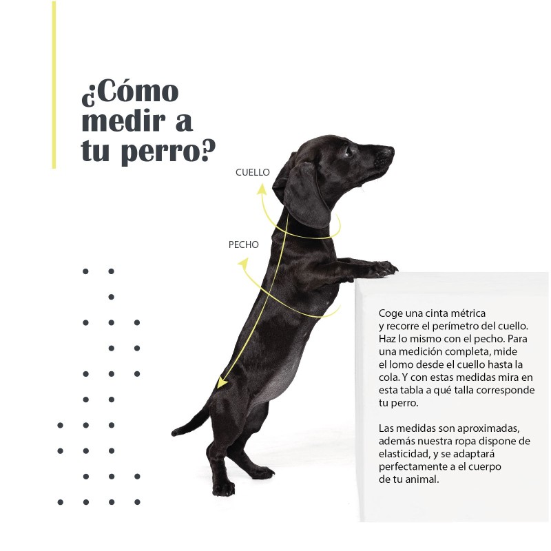 MI&DOG JERSEY LISO MI&DOG JERSEY LISO