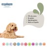 SERRANO SNACKS PERROS SENIOR 100 GR