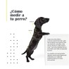 MI&DOG ABRIGO IMPERMEABLE COMBI T-25