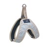 BULL ARNES SPORT AZUL CEBRA T-L2