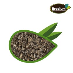 BRADIUM PIPAS PARA LOROS 370GR