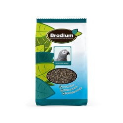 BRADIUM PIPAS PARA LOROS 370GR