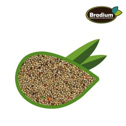 BRADIUM MIXTURA PERIQUITO 900 GR