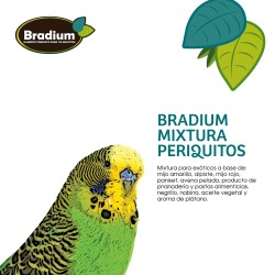 BRADIUM MIXTURA PERIQUITO 900 GR