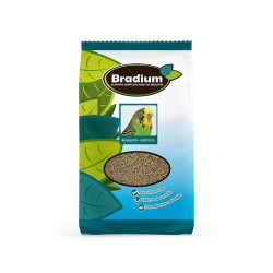 BRADIUM MIXTURA PERIQUITO 900 GR