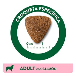 14KG LIBRA DOG SALMON